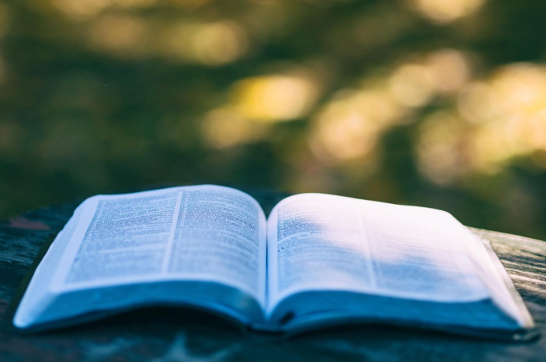 AIGC检测报告和论文查重报告有什么区别